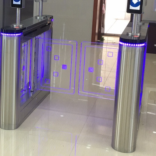 Face Recognition Gym Mini Swing Turnstile 