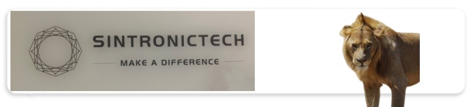 ShenZhen Sintronic Technology Company Limited